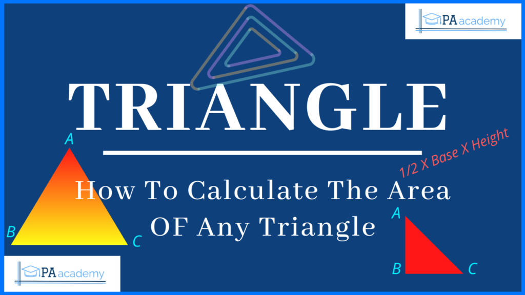 How to Calculate the area of any type of TRIANGLE | Right Angle ...